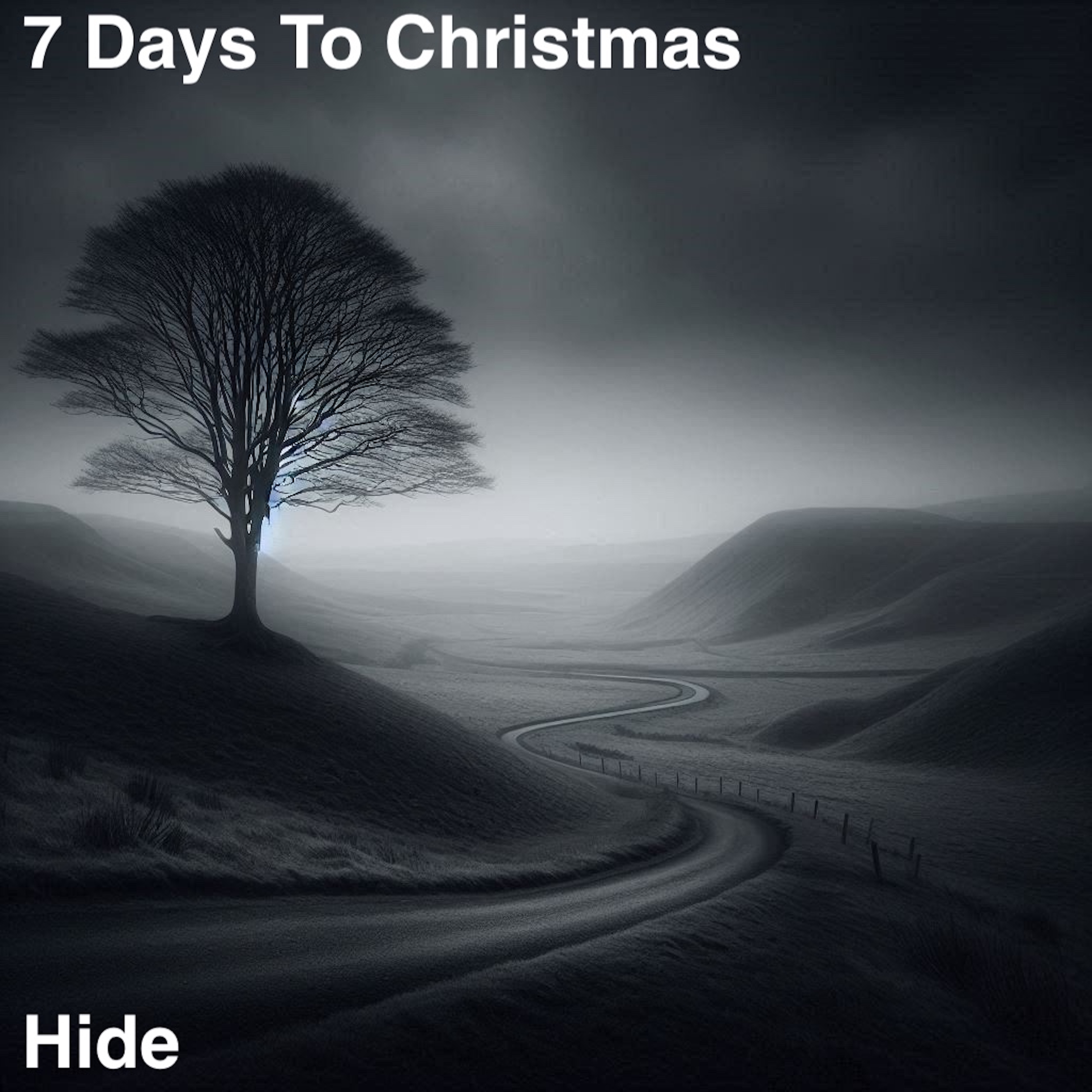 Hide cover